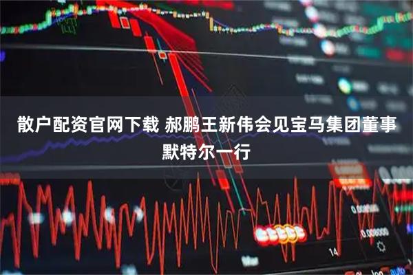 散户配资官网下载 郝鹏王新伟会见宝马集团董事默特尔一行