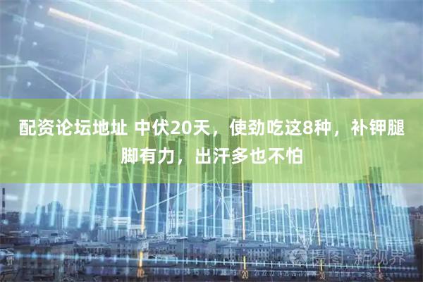 配资论坛地址 中伏20天,使劲吃这8种,补钾腿脚有力,出汗多也不怕