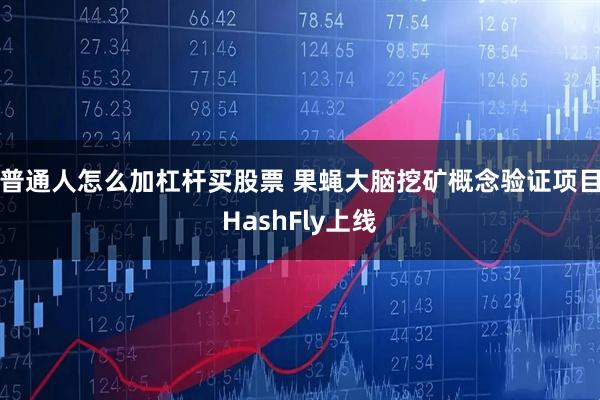 普通人怎么加杠杆买股票 果蝇大脑挖矿概念验证项目HashFly上线